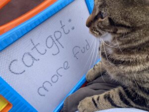 Picture of a cat typing 'more fud' at a catgpt: prompt on a childrens toy.